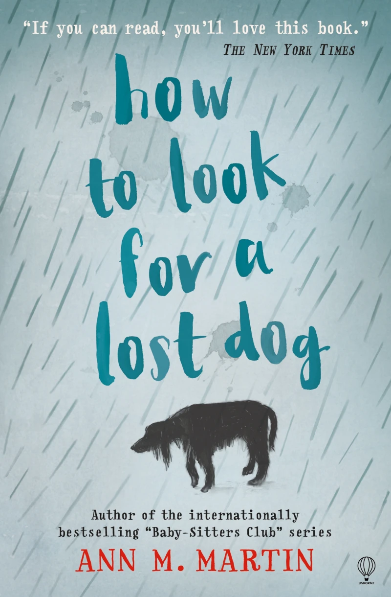 Portada: How to Look for a Lost Dog