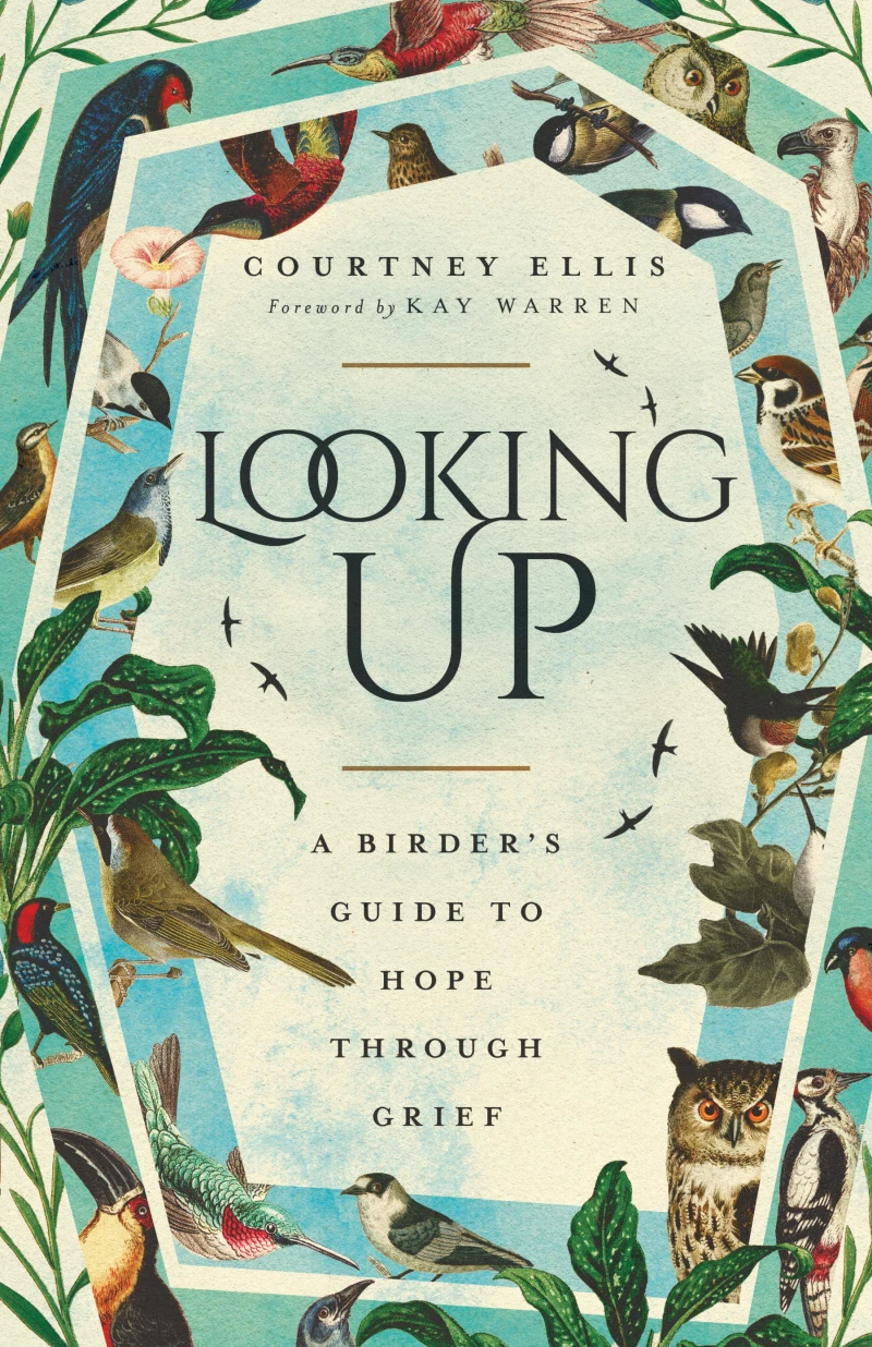 Portada: Looking Up