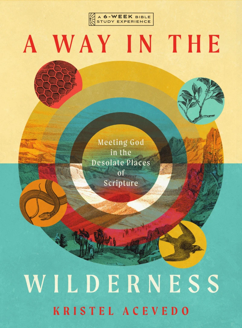 Portada: A Way in the Wilderness
