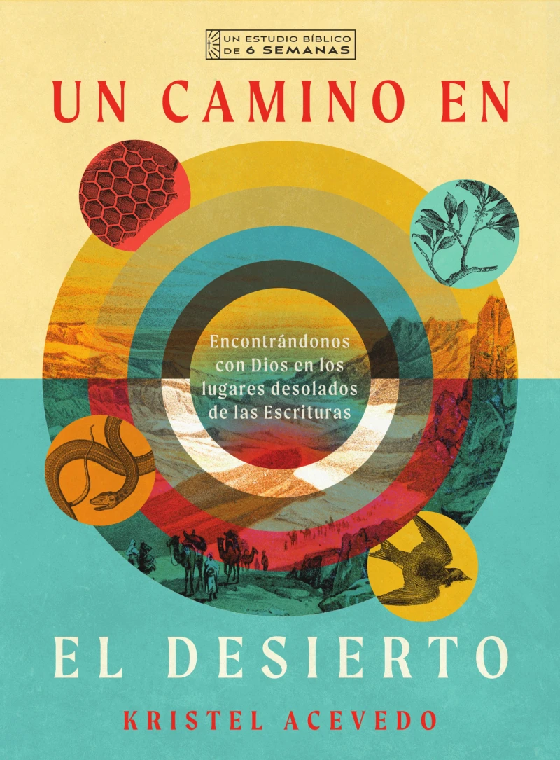 Portada: Un camino en el desierto