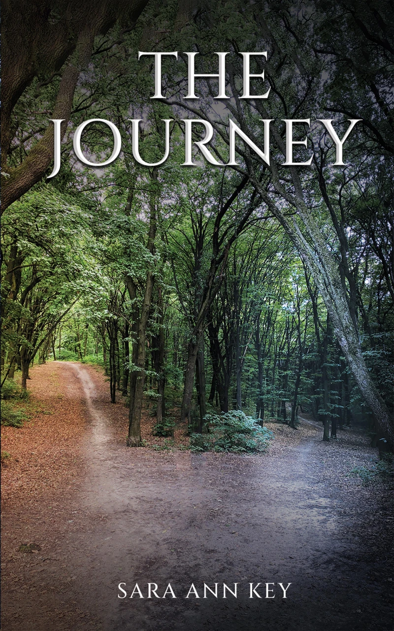 Portada: The Journey