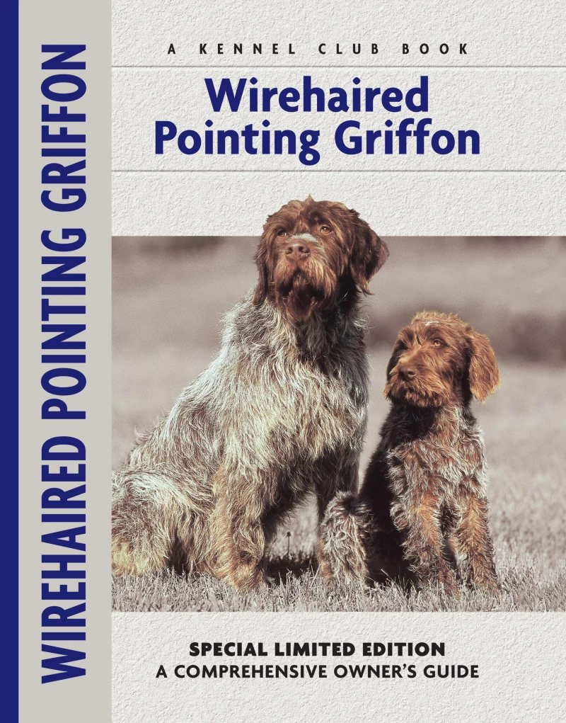Portada: Wirehaired Pointing Griffon