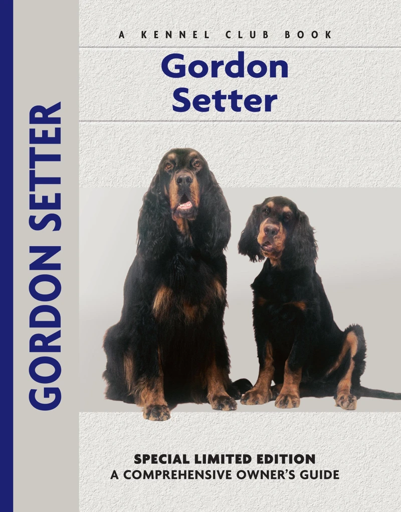 Portada: Gordon Setter