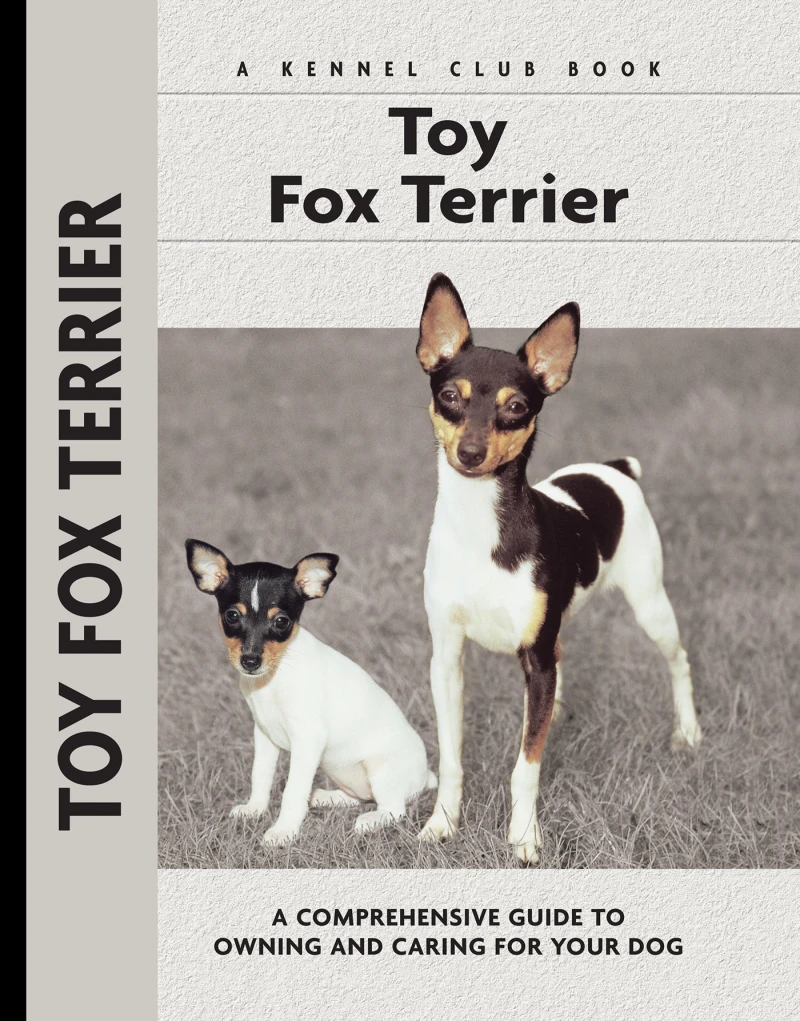 Portada: Toy Fox Terrier
