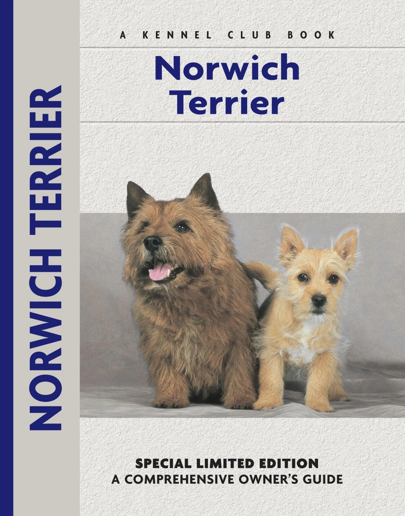Portada: Norwich Terrier