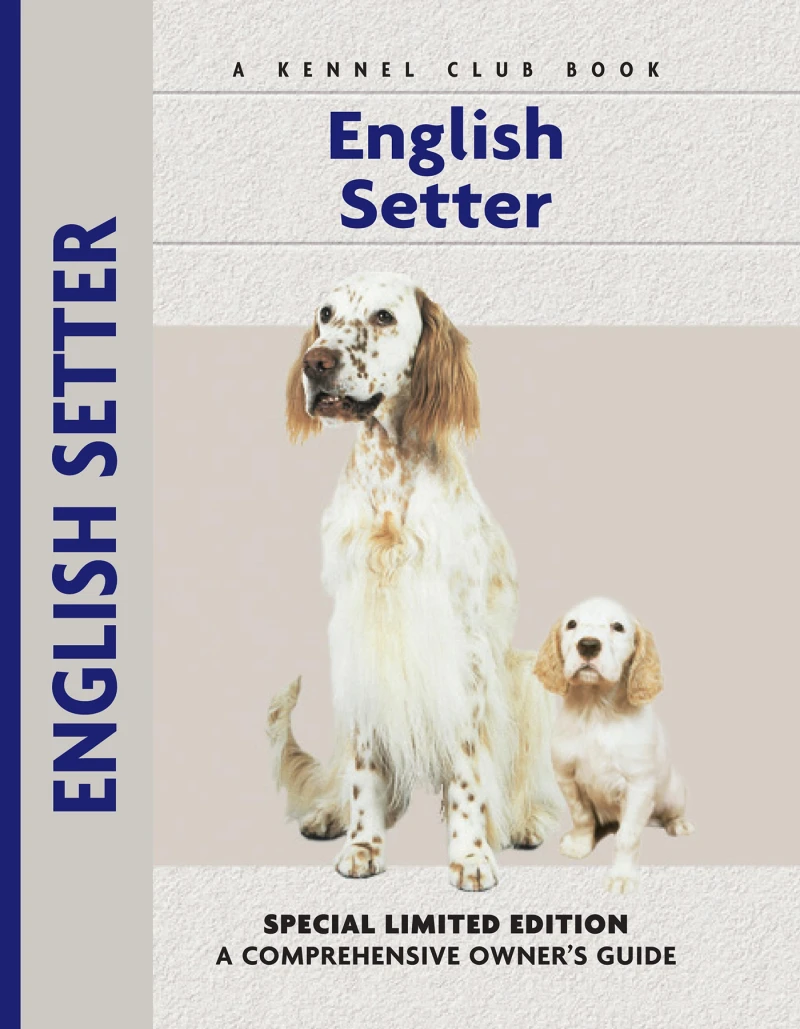 Portada: English Setter