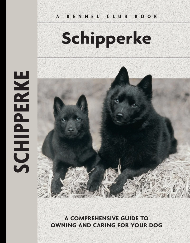 Portada: Schipperke