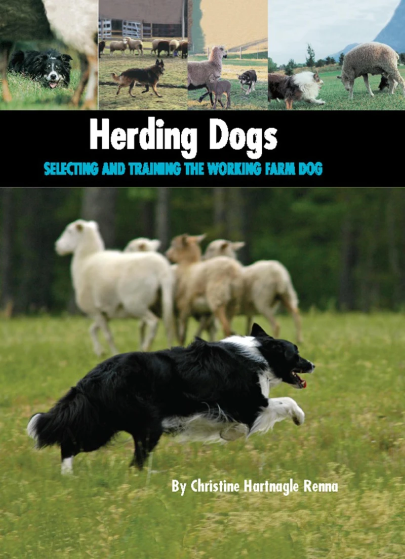 Portada: Herding Dogs