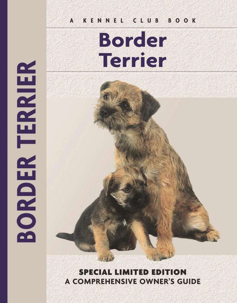 Portada: Border Terrier