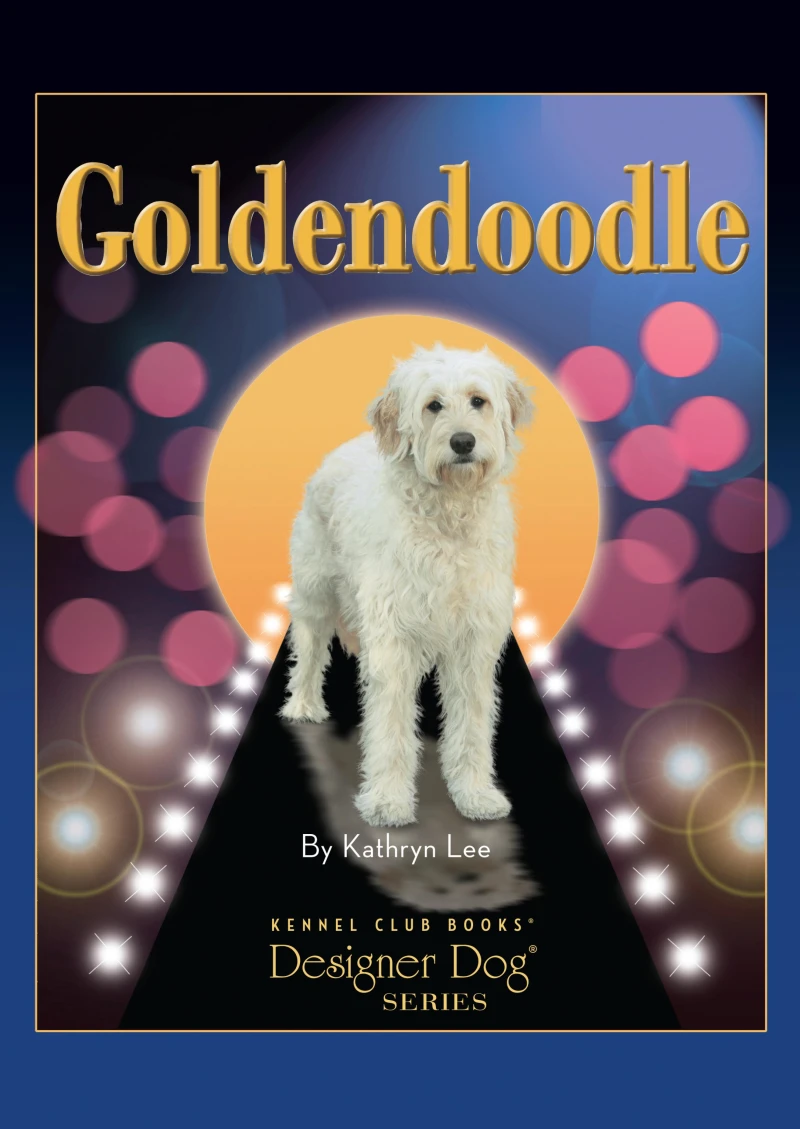 Portada: Goldendoodle