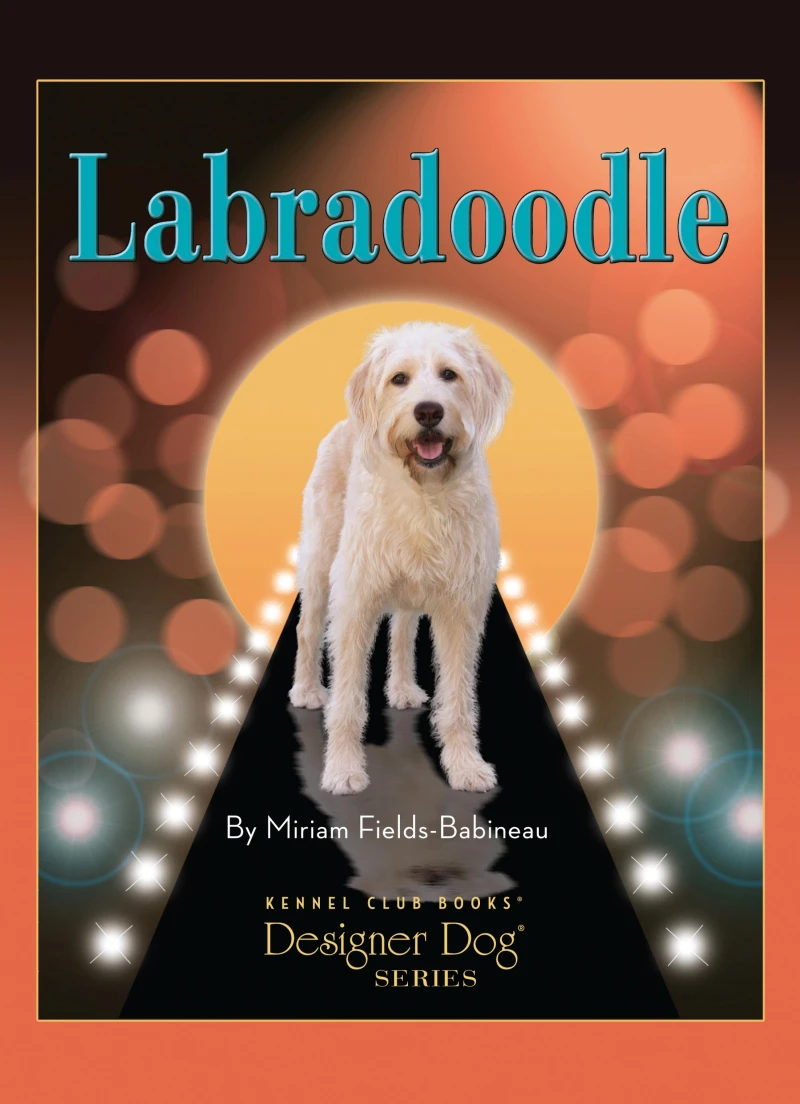 Portada: Labradoodle