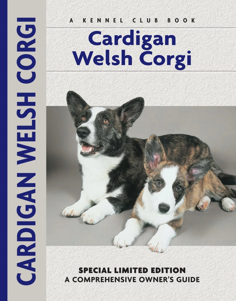 Portada: Cardigan Welsh Corgi