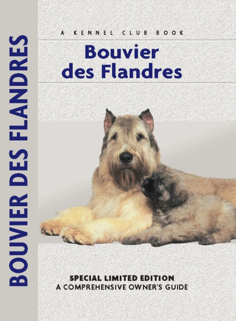 Portada: Bouvier Des Flandres