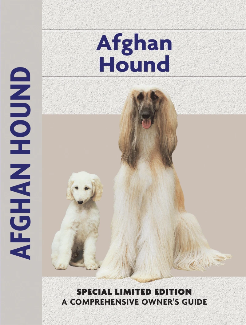 Portada: Afghan Hound