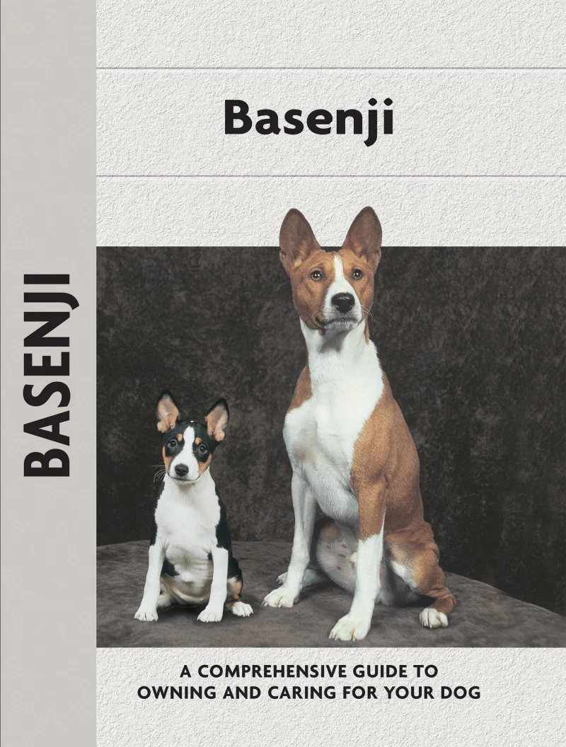 Portada: Basenji