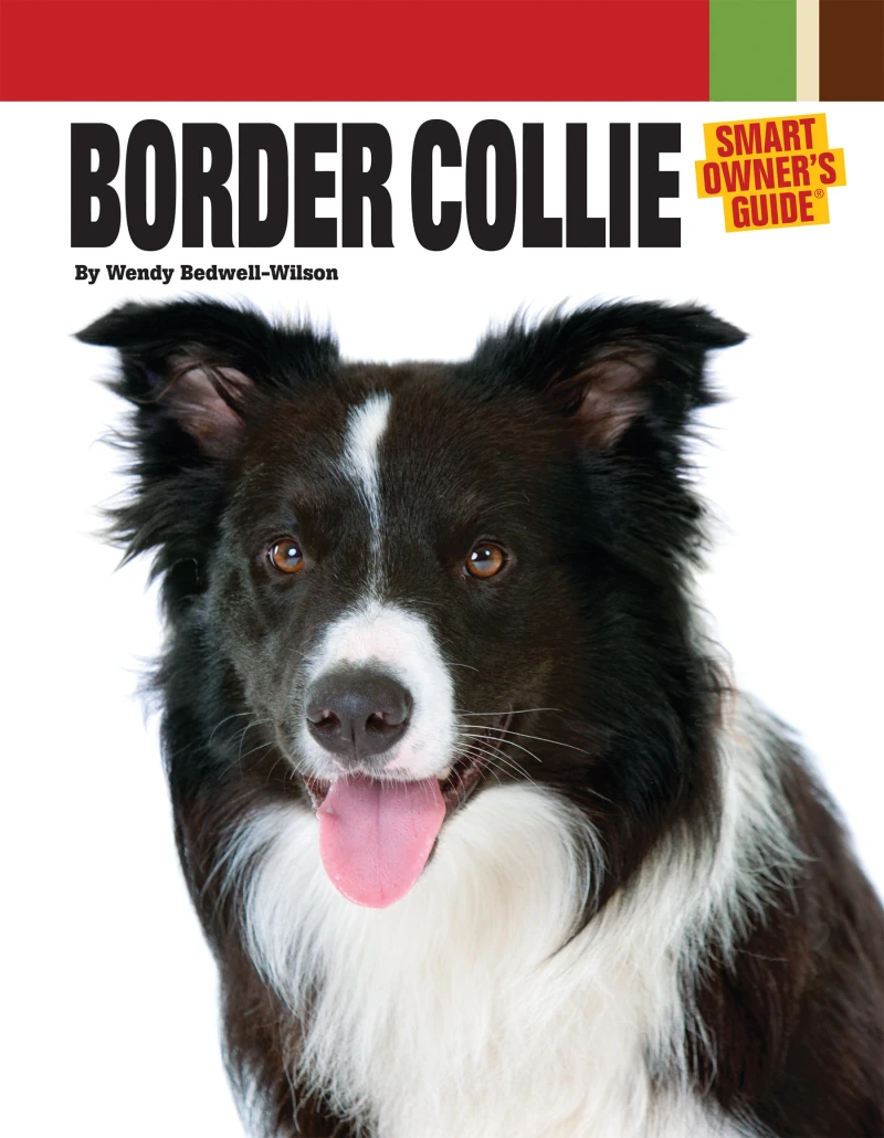 Portada: Border Collie