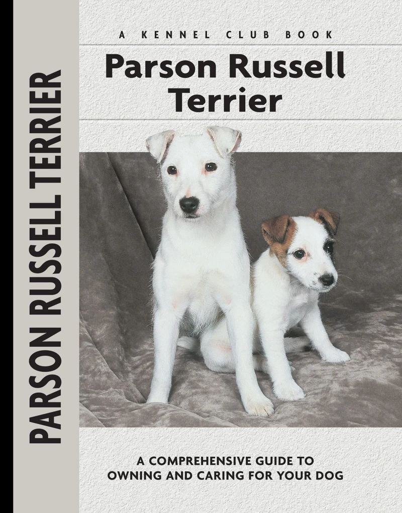 Portada: Parson Russell Terrier