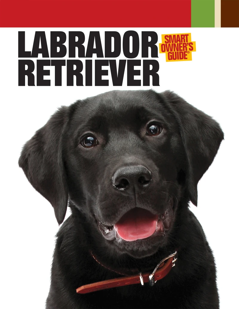 Portada: Labrador Retriever