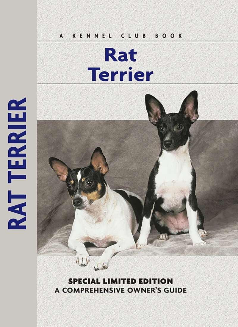 Portada: Rat Terrier
