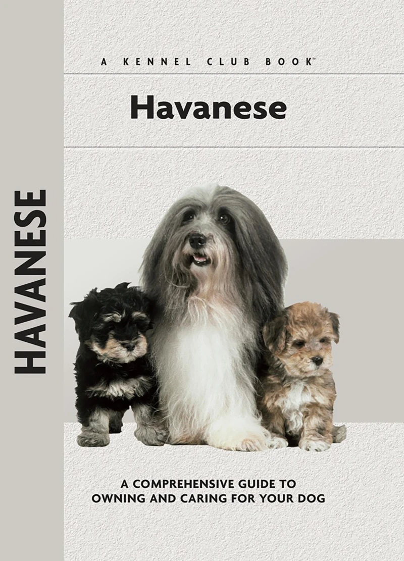 Portada: Havanese