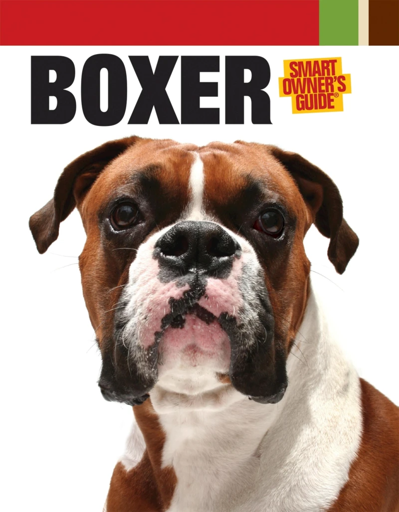 Portada: Boxer