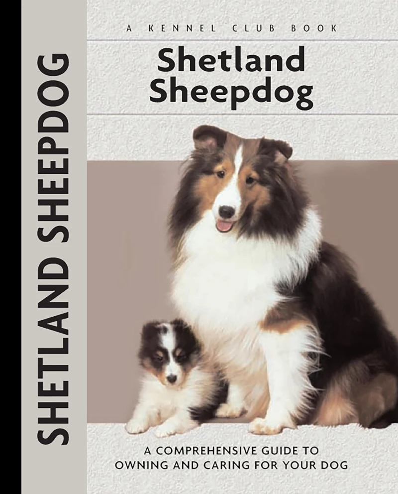 Portada: Shetland Sheepdog