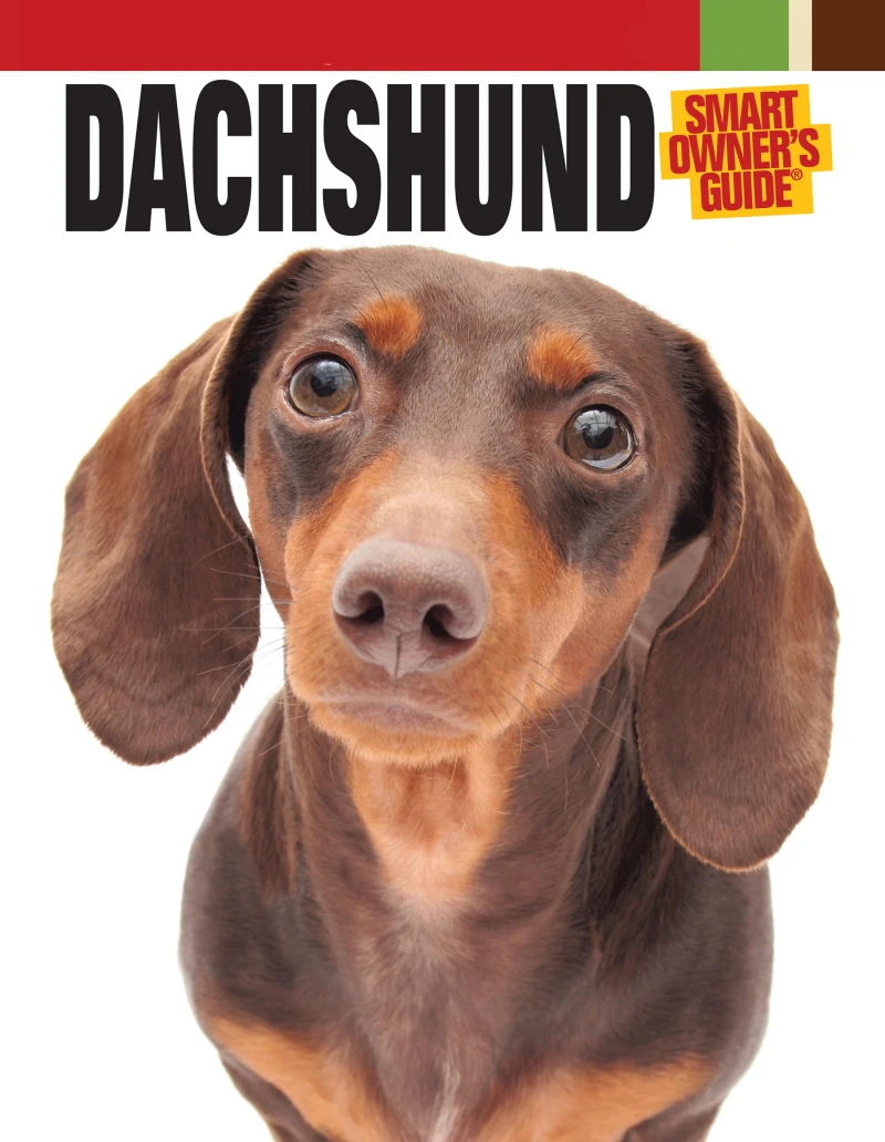 Portada: Dachshund