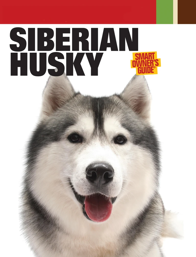 Portada: Siberian Husky
