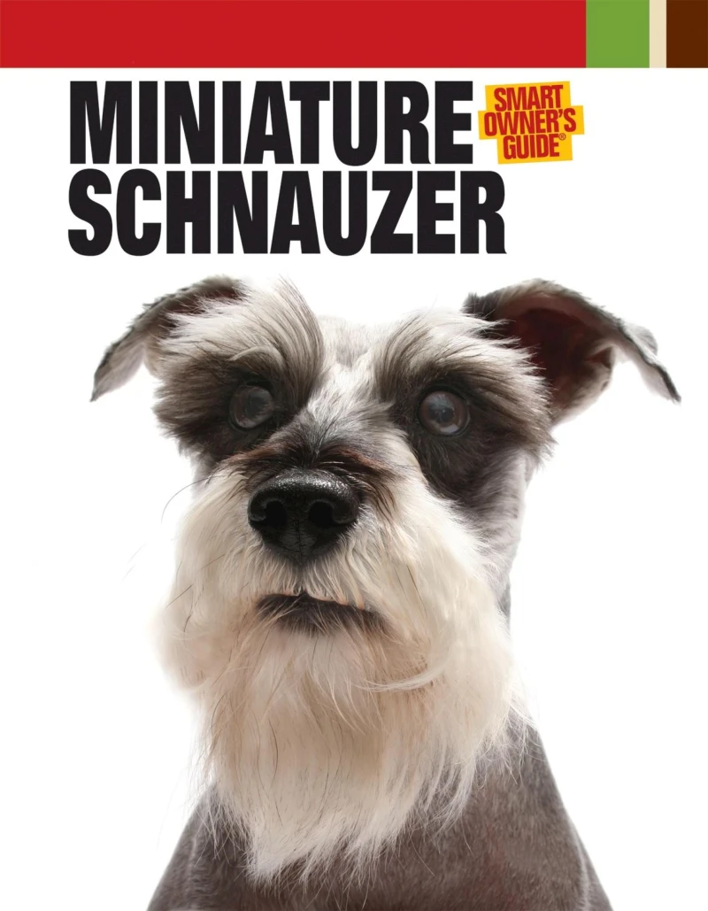 Portada: Miniature Schnauzer