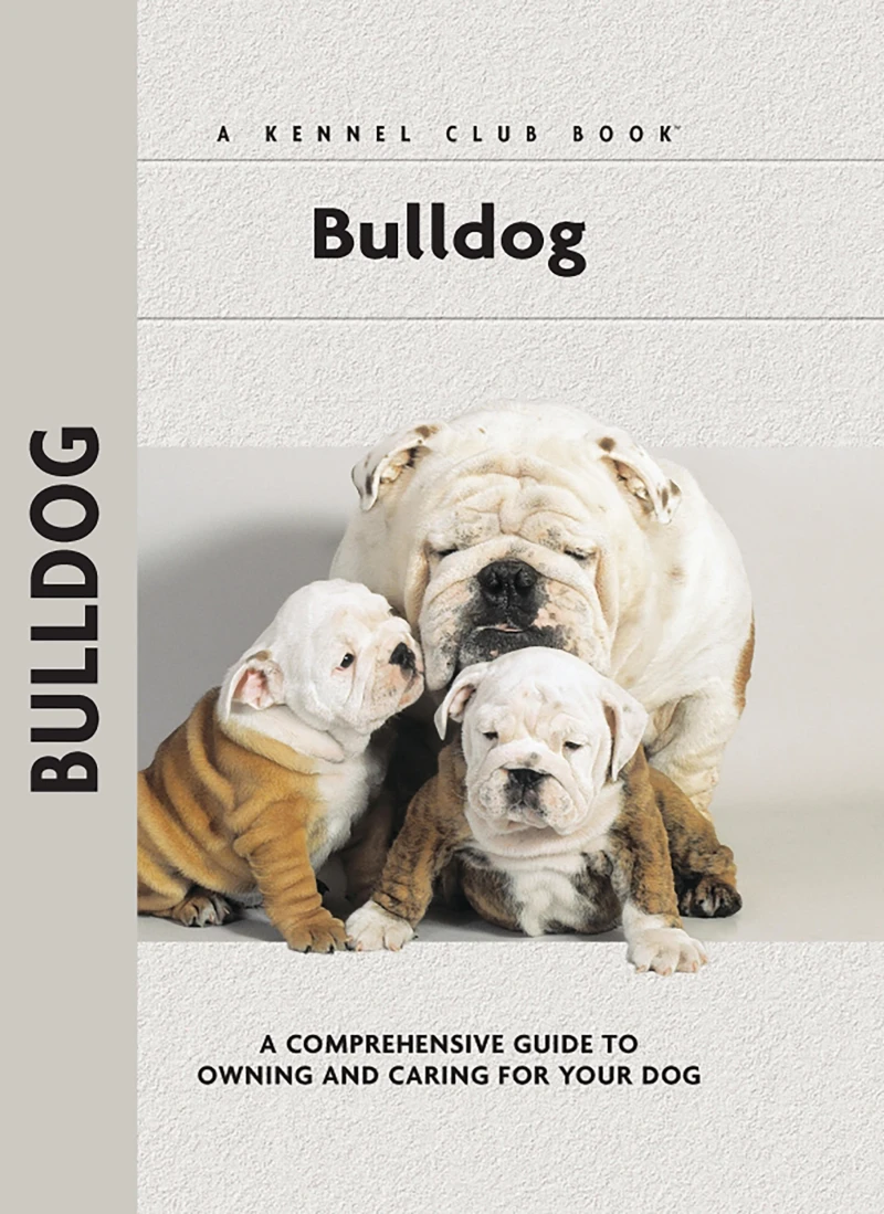 Portada: Bulldog