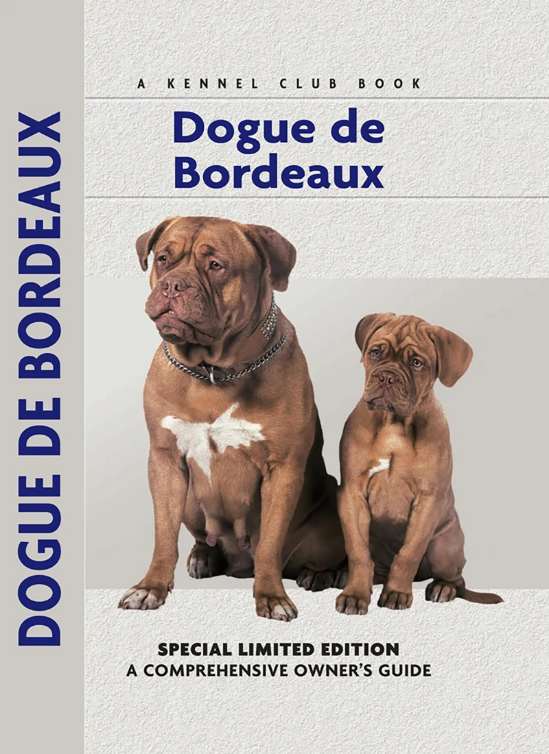 Portada: Dogue De Bordeaux