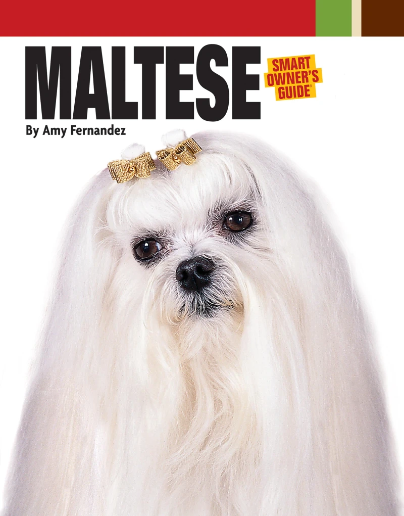 Portada: Maltese