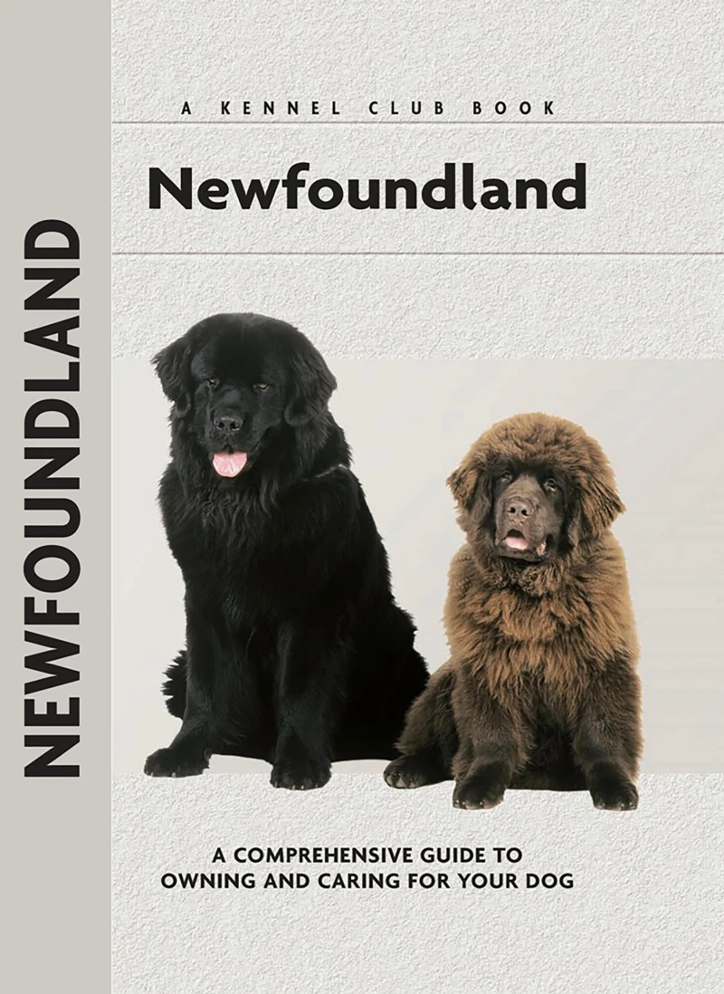 Portada: Newfoundland
