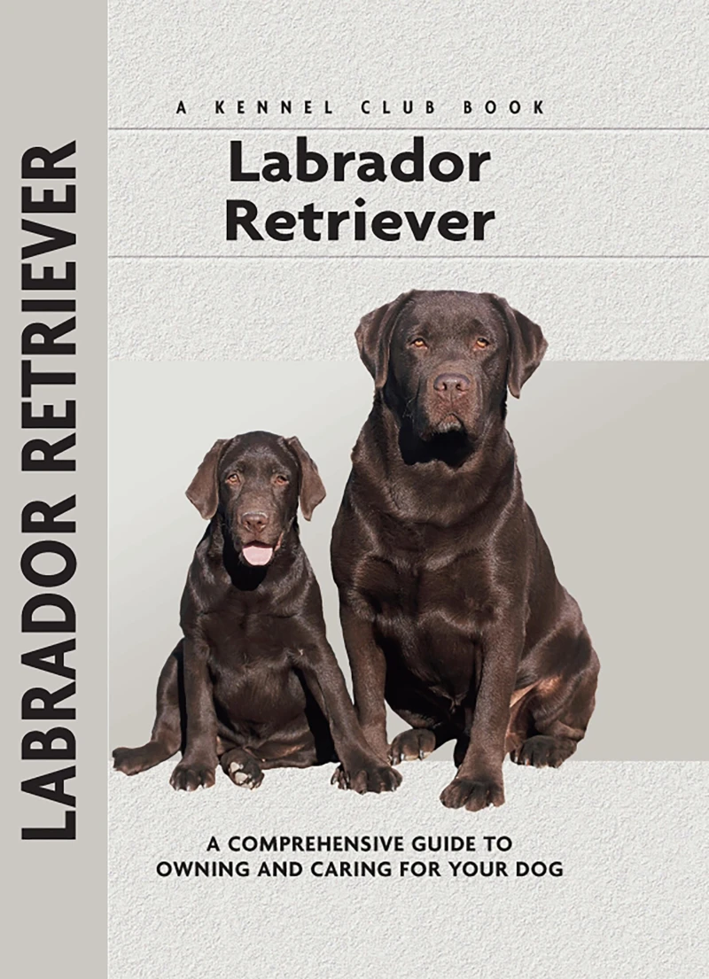 Portada: Labrador Retriever