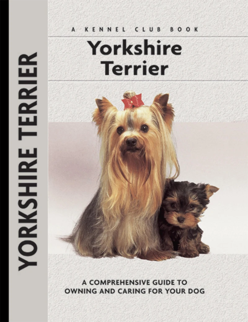 Portada: Yorkshire Terrier