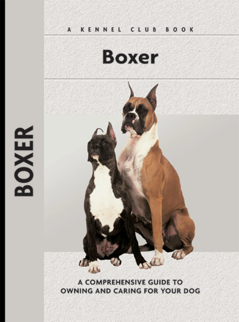 Portada: Boxer