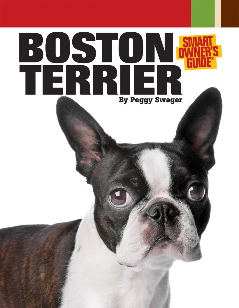 Portada: Boston Terrier