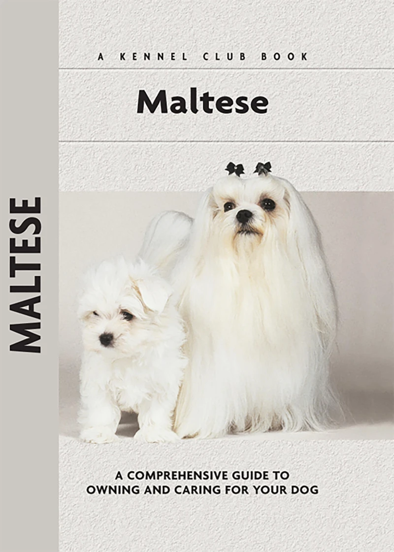 Portada: Maltese