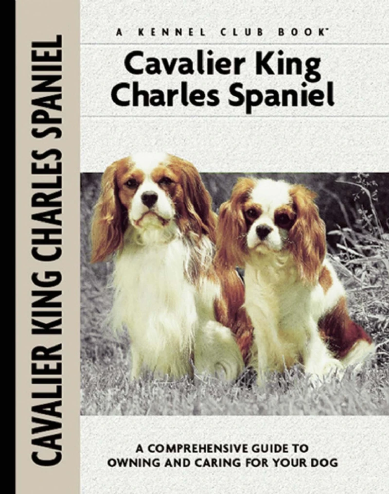 Portada: Cavalier King Charles Spaniel