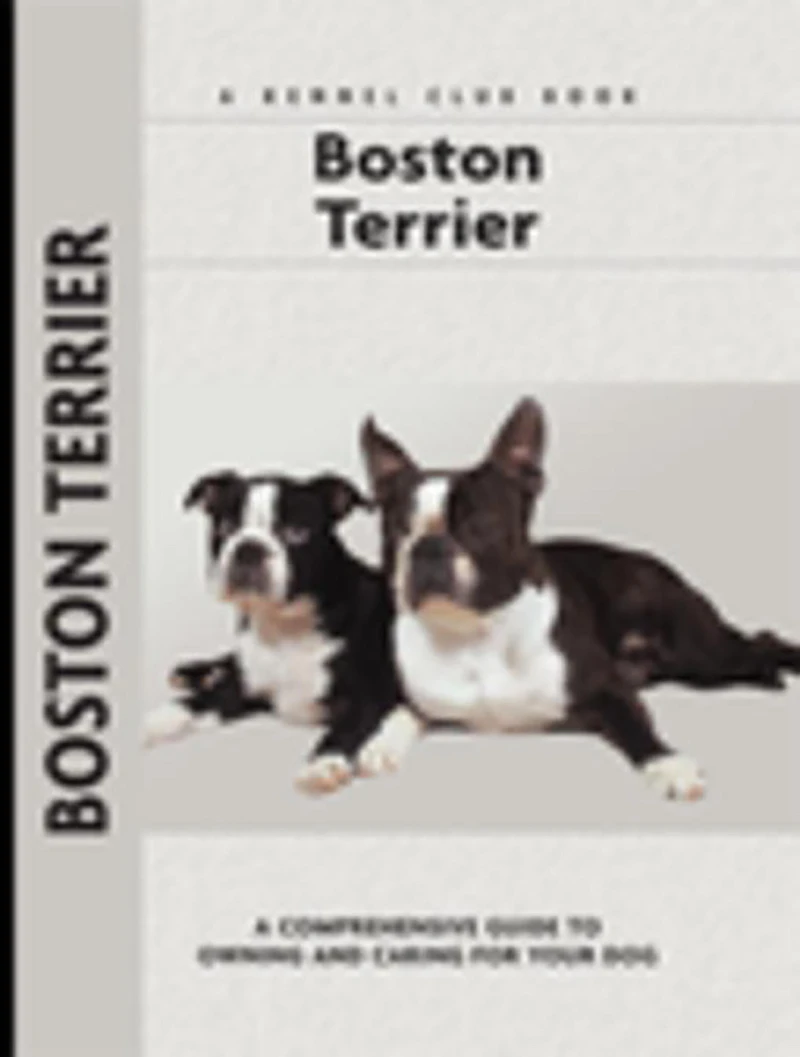 Portada: Boston Terrier