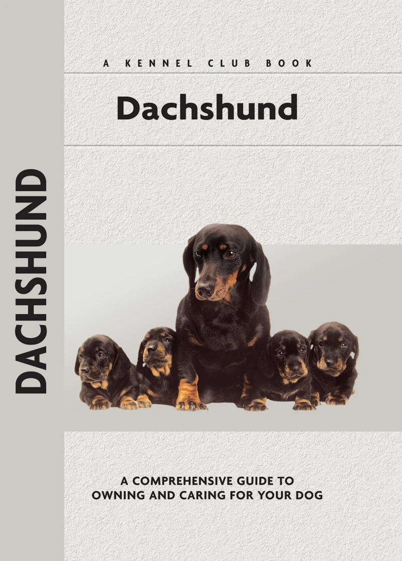 Portada: Dachshund
