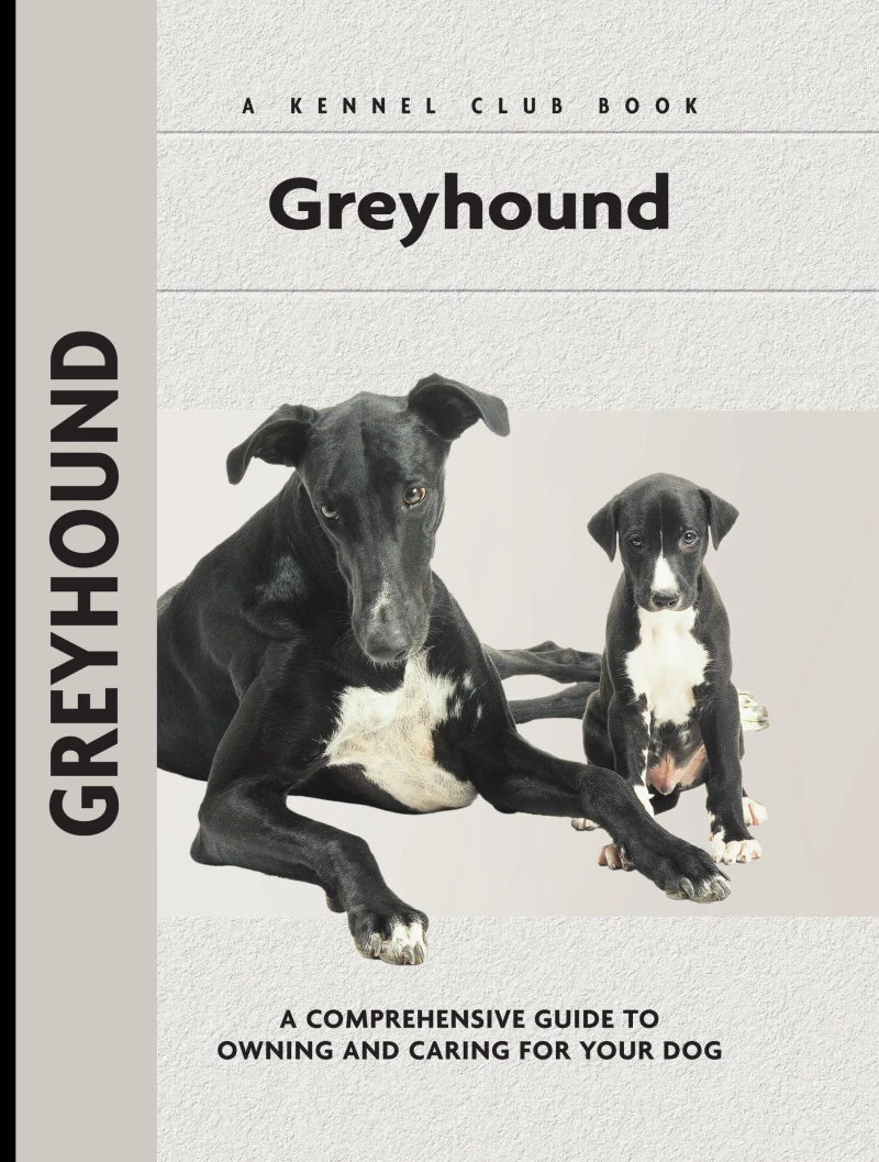 Portada: Greyhound