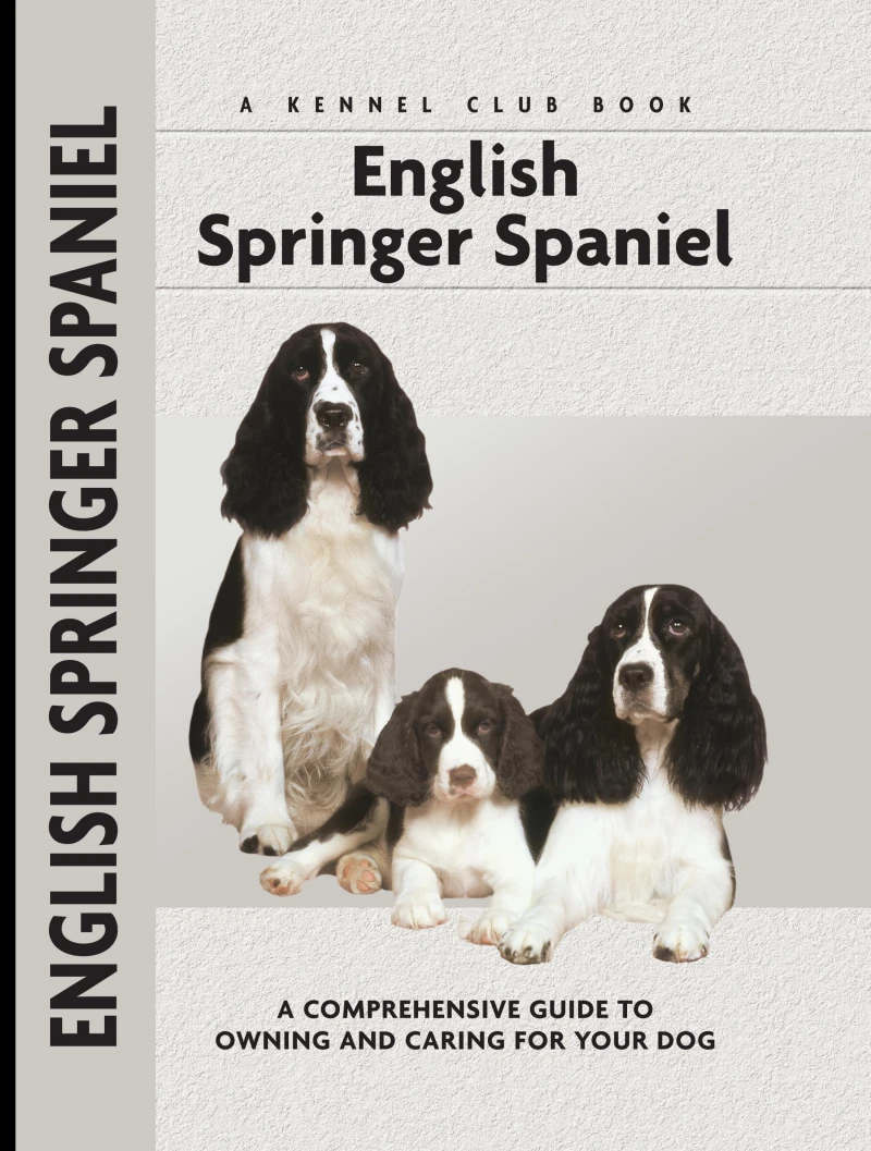 Portada: English Springer Spaniel