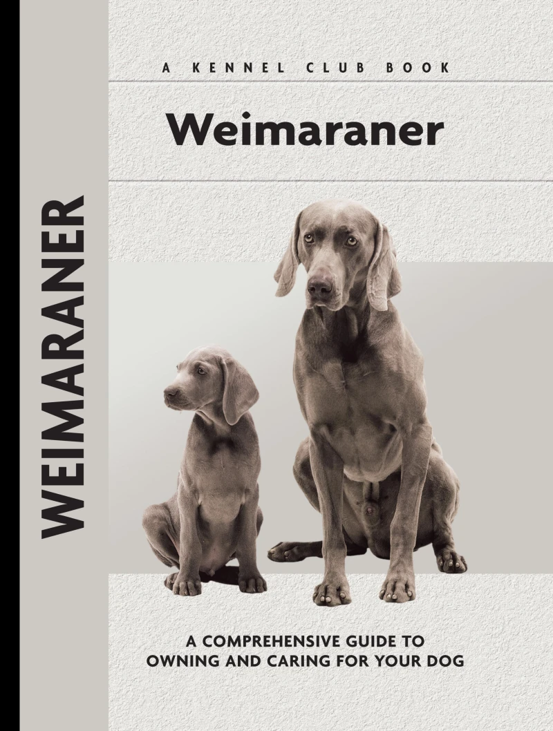Portada: Weimaraner
