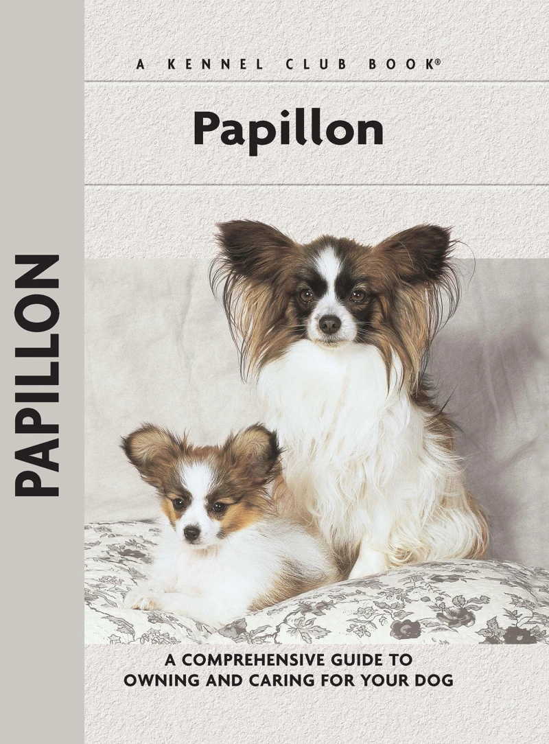 Portada: Papillons