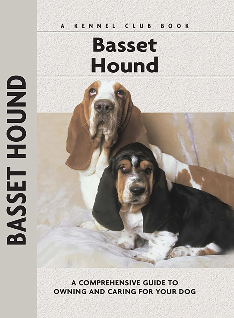 Portada: Basset Hound