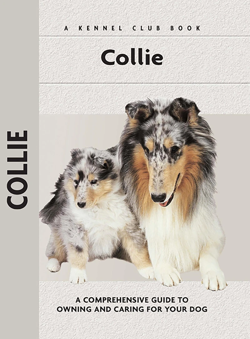 Portada: Collie