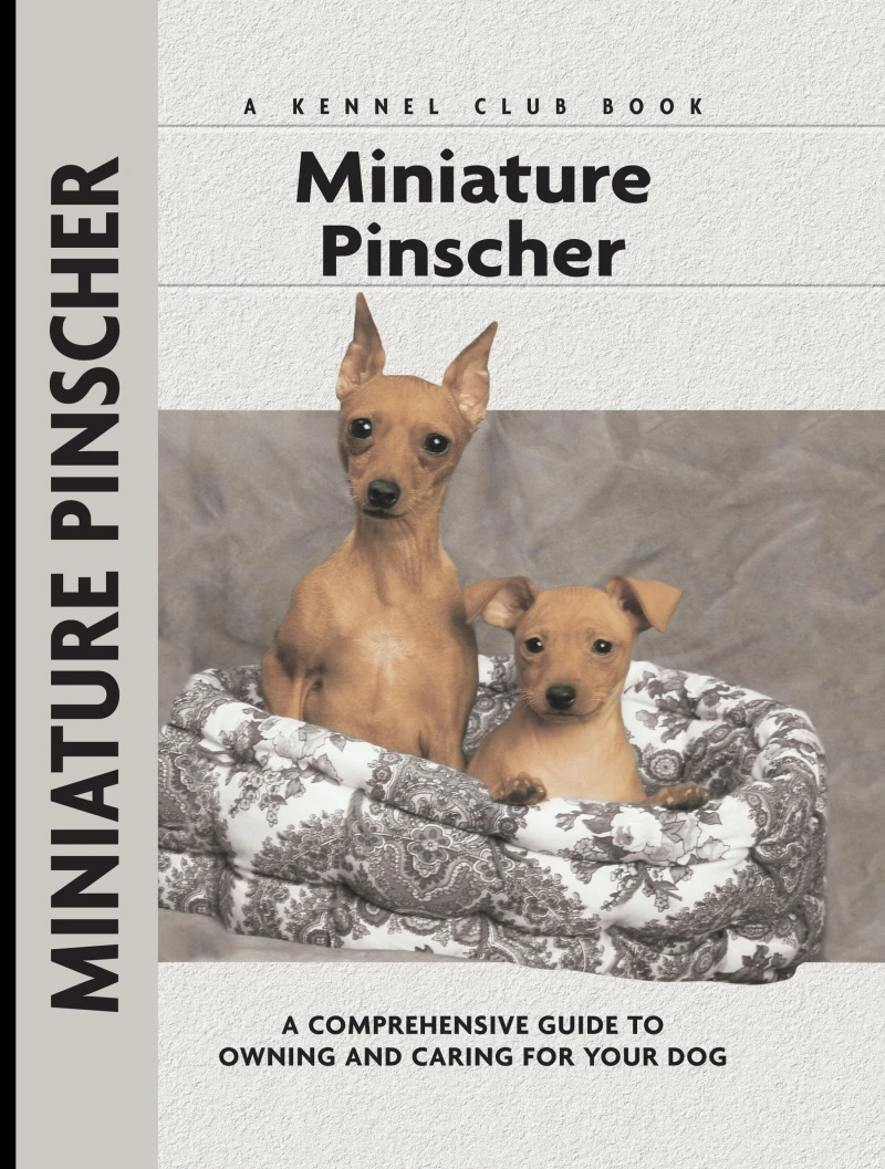 Portada: Miniature Pinscher