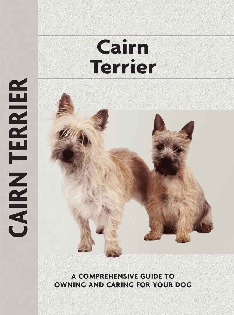 Portada: Cairn Terrier
