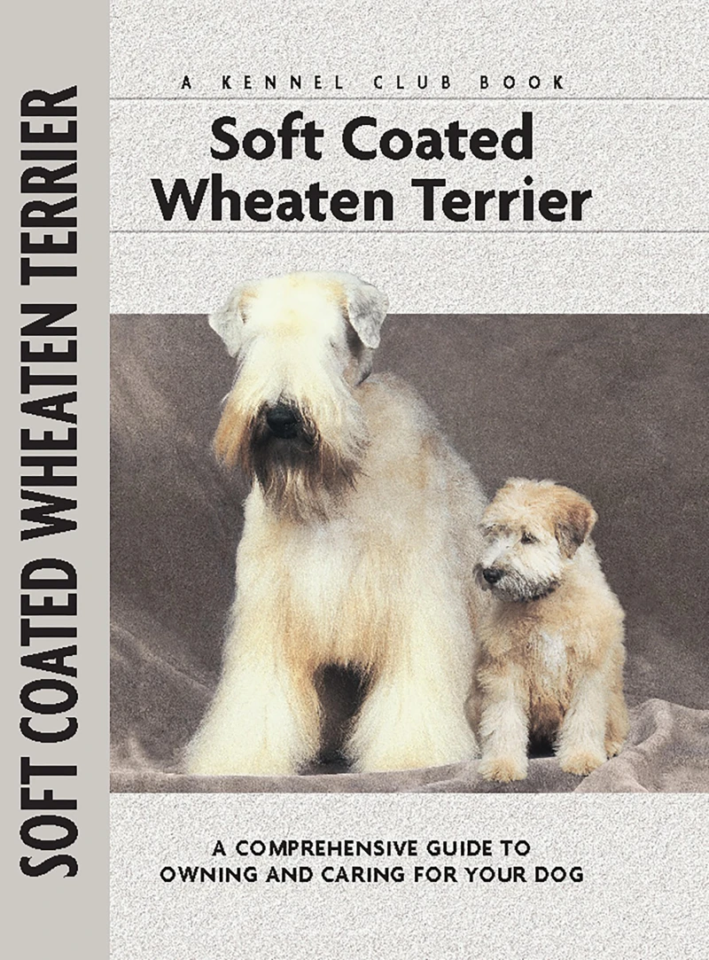Portada: Soft Coat Wheaten Terrier